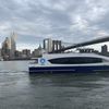Abysmal Ferry Ridership Numbers Show City Is Subsidizing Mostly Empty Boats
